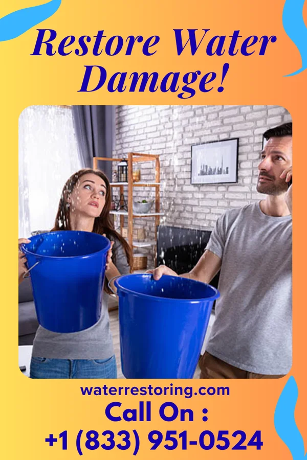 water restoration Classic Flood Damage LLC St. Cloud