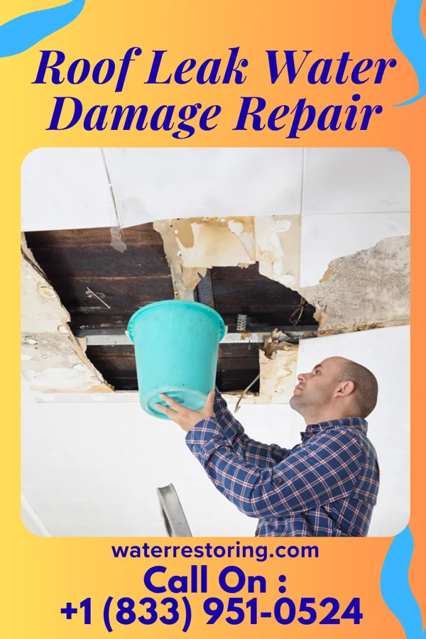 Roof Leak Water Damage Repair in St. Cloud, MN