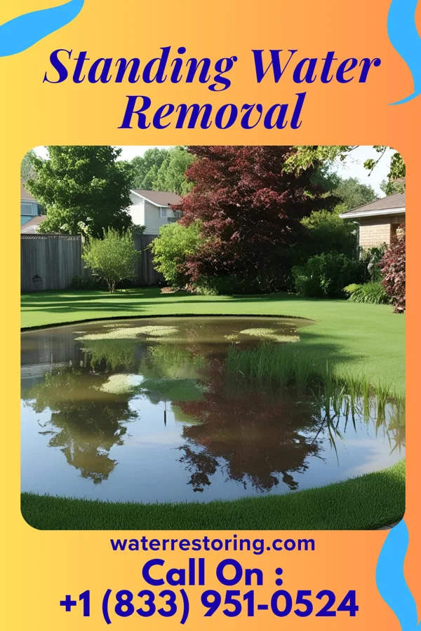 Standing Water Removal in St. Cloud, MN